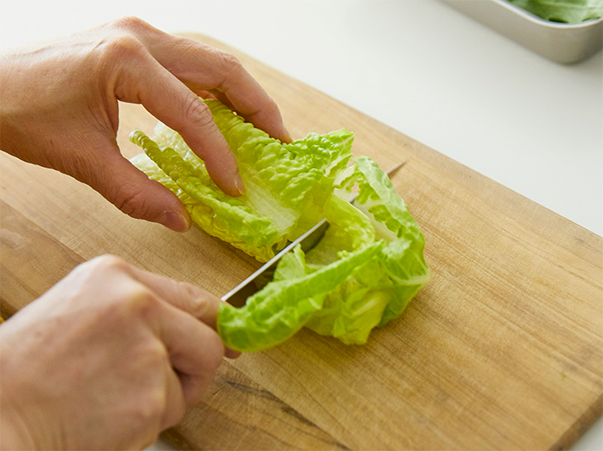みずみずしい葉野菜は、お好みの大きさにカットするだけ。