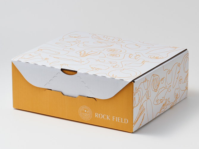 野菜と食べる チキンとハンバーグのスープカレー