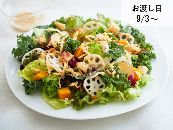根菜とかぼちゃのシーザーサラダ
