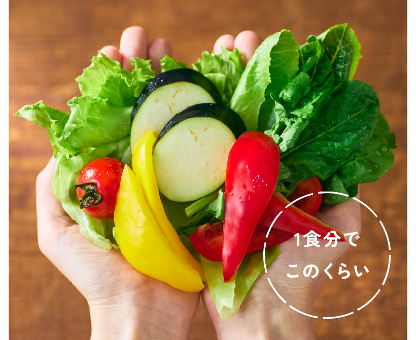 1食分でこのくらい