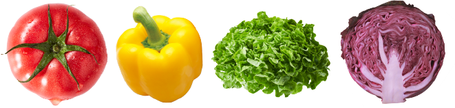 素材の多さにきっと驚く！