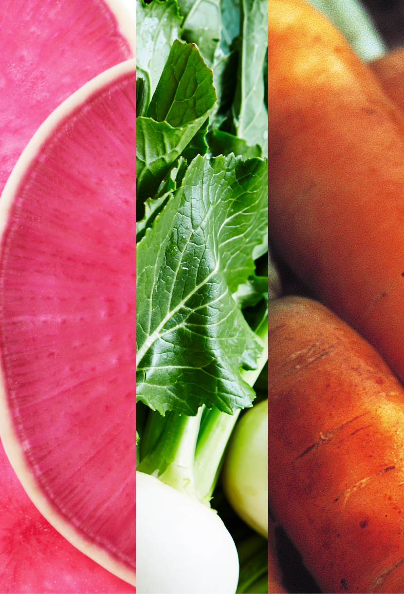 野菜の野菜のチカラで、未来を耕そう