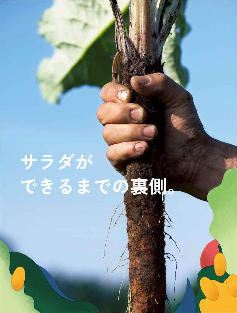 サラダができるまでの裏側。