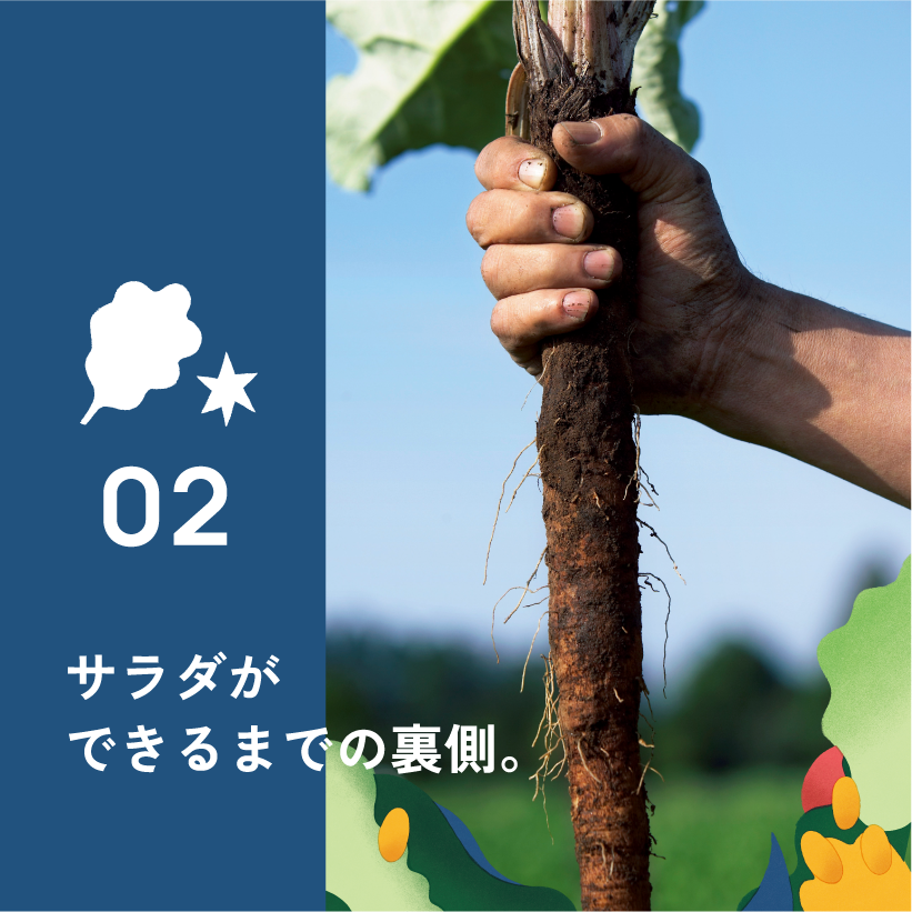 02.サラダができるまでの裏側。