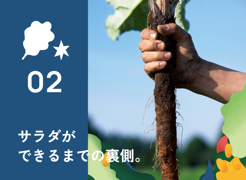 02.サラダができるまでの裏側。